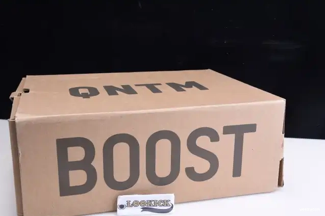 QNTM Quantum Adidas Yeezy YZY Q46473 0517